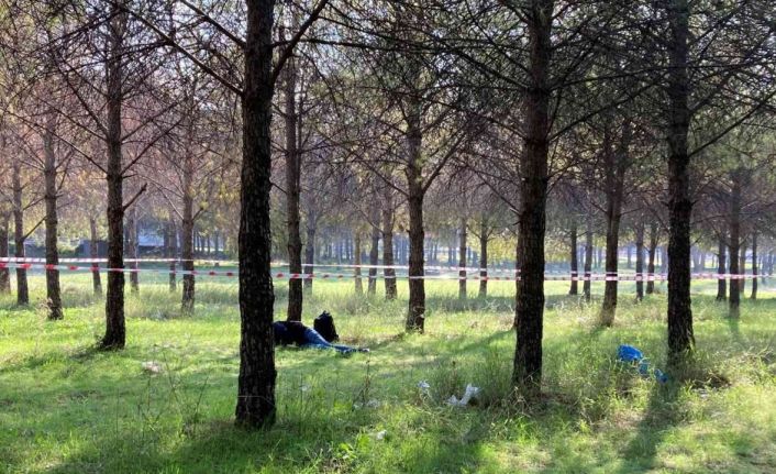 İzmir’de bir genç ormanlık alanda ölü bulundu