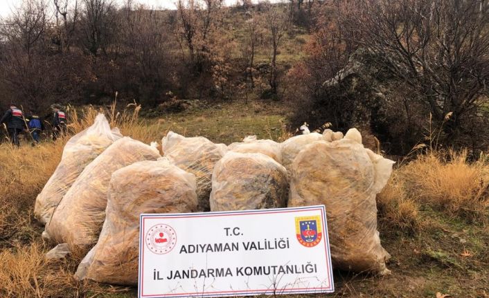 Jandarma çalınan tütünleri dere yatağında buldu