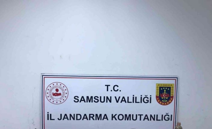 Jandarmadan uyuşturucu operasyonu