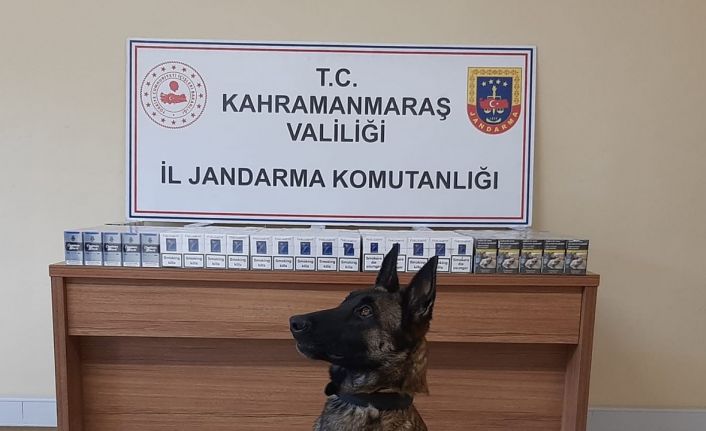 Kahramanmaraş’ta kaçakçılıkla mücadele