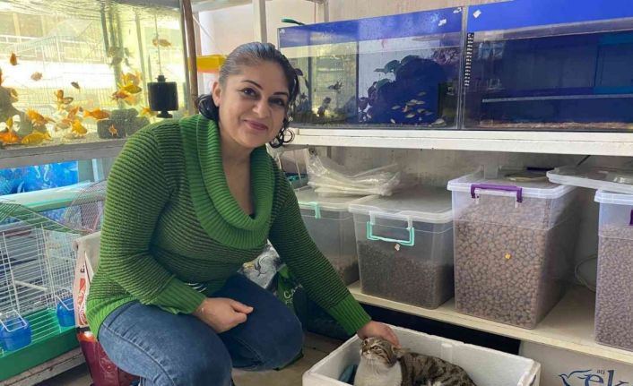 Kaldığı yerin tadilatı yüzünden dışarıda kalan kedi, 3 yavrusuyla esnafa sığındı