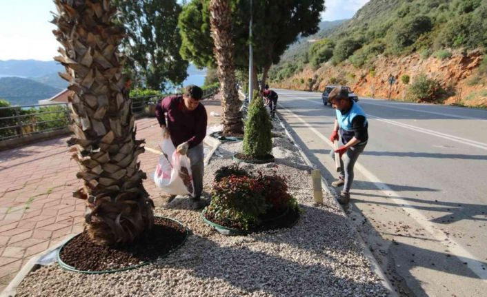 Kaş’ta peyzaj çalışmalarında 4 bin 625 bitki dikildi