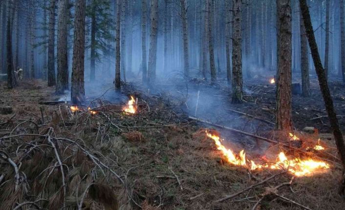 Kaz Dağları’ndaki örtü yangını kontrol altına alındı, 80 hektar alan zarar gördü