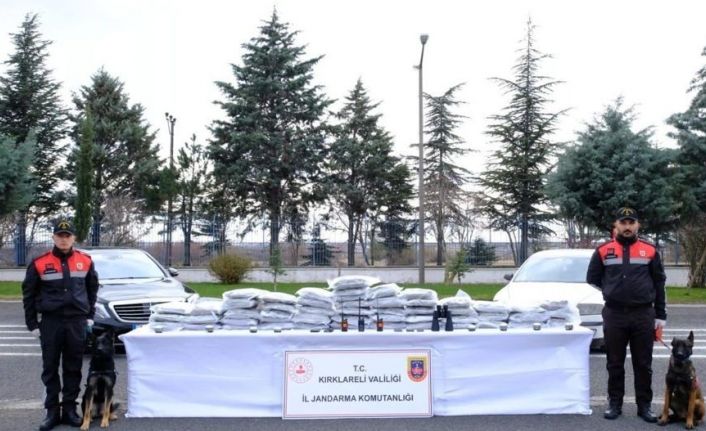 Kırklareli’nde bir yılda 2 milyon 878 bin 335 kök kenevir ele geçirildi