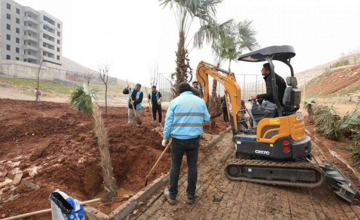 Kito deresinde ağaçlandırma devam ediyor