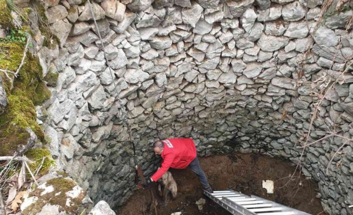 Kuyuda mahsur kalan köpek böyle kurtarıldı