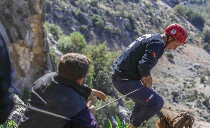 Mahsur kalan 3 keçiyi itfaiye kurtardı