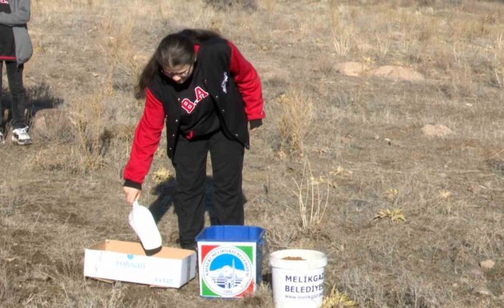 Melikgazi Belediyesi ve Öğrenciler Sokak Hayvanlarına Mama Dağıttı