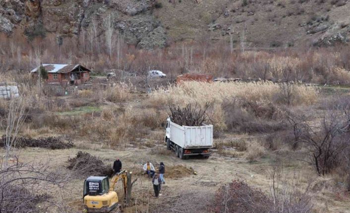Meyve bahçelerinin ağaçlarını iş makineleri ile söküyorlar