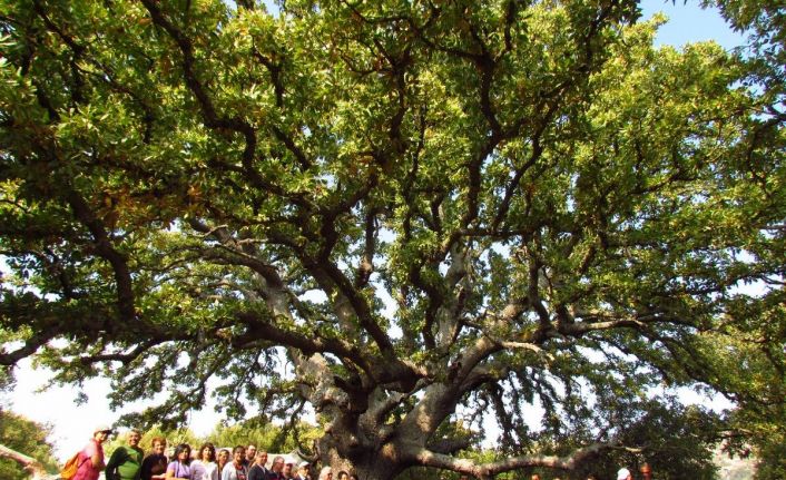 Milli Park davasında verilen karara doğaseverleri mutlu etti