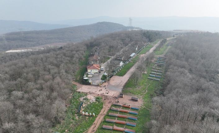 O merkez sahipsiz canlara umut olmaya devam ediyor