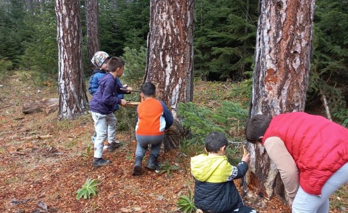 Orman içerisinde ders işliyorlar