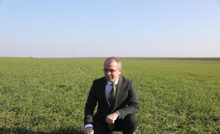 Pamuk ve mısırda düşüş yaşandı, kuraklık kriz merkezi oluşturuldu