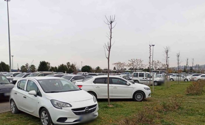 Parkta sınır tanımadılar