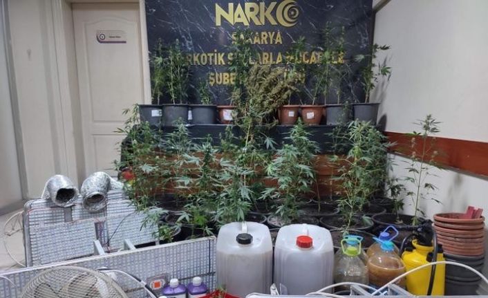 Polisten 3 ayrı uyuşturucu operasyonu: 7 gözaltı