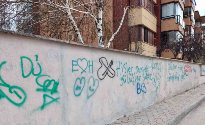 Site duvarları adeta resim tahtasına döndü