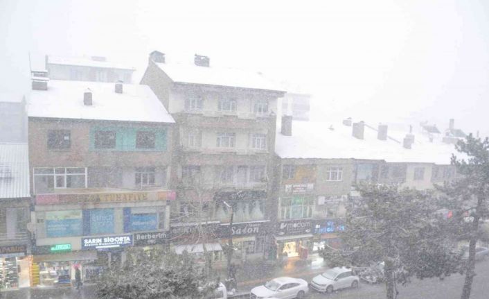 Tatvan’da kar yağışı başladı