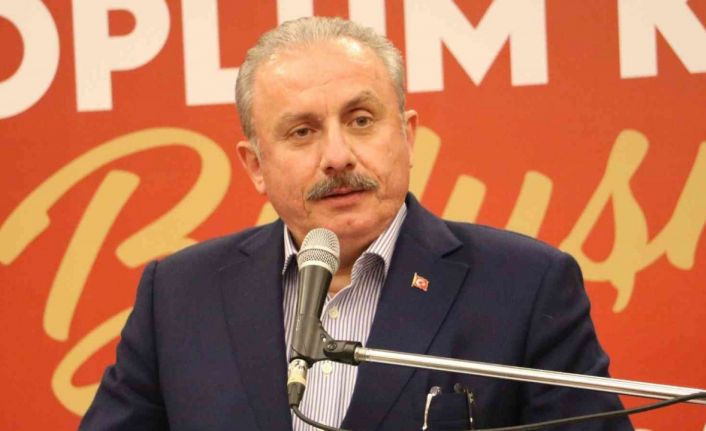 TBMM Başkanı Şentop’tan Prens Harry’ye sert tepki: “Avrupalı beyaz çocuk, sen kimsin?”