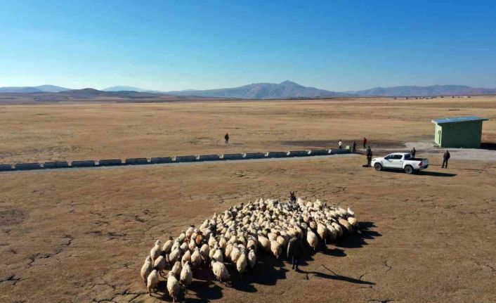 Van Büyükşehir Belediyesinden kırsal kalkınma atağı