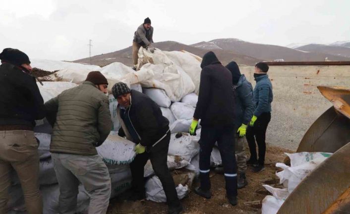 Ağrı’dan deprem bölgesine mısır silajları gönderildi
