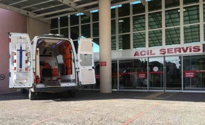 Aydın’da dehşete düşüren görüntüler