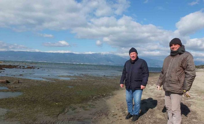 Balıkesir’de deniz çekildi, 2 bin 500 yıllık antik liman ortaya çıktı