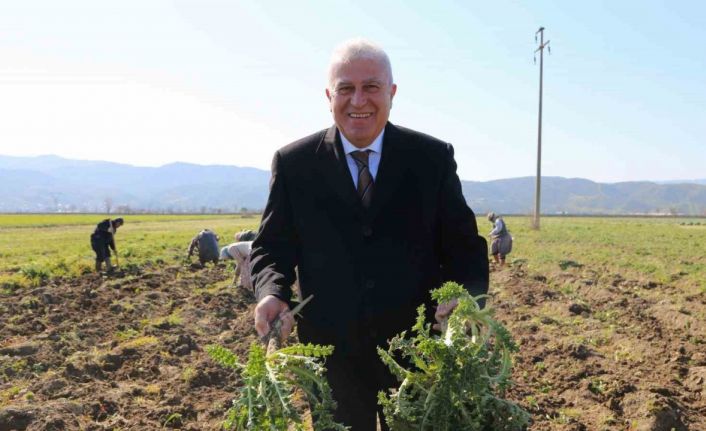 Başkan Atay, Efeler’de tarıma değer katıyor