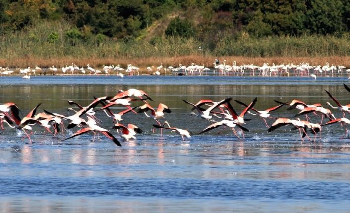 Başkan Metin Oral: “Hersek Lagünü çok değerli bir sulak alandır”