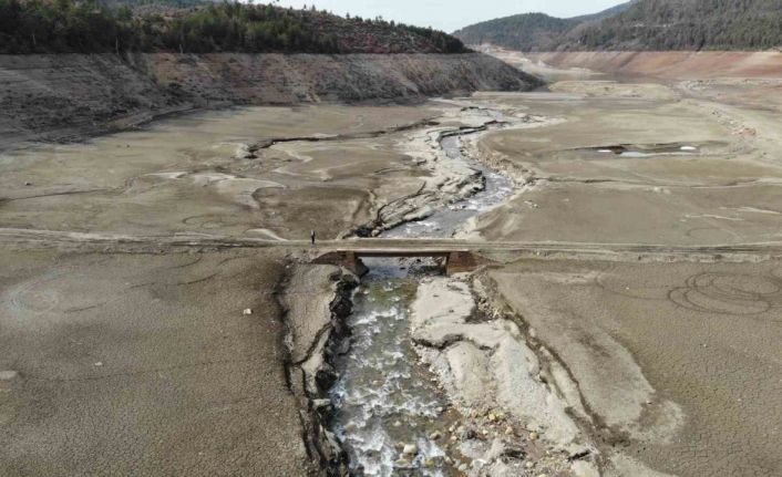 Bursa’nın 20 günlük suyu kaldı... Nilüfer Barajı şu anda bomboş