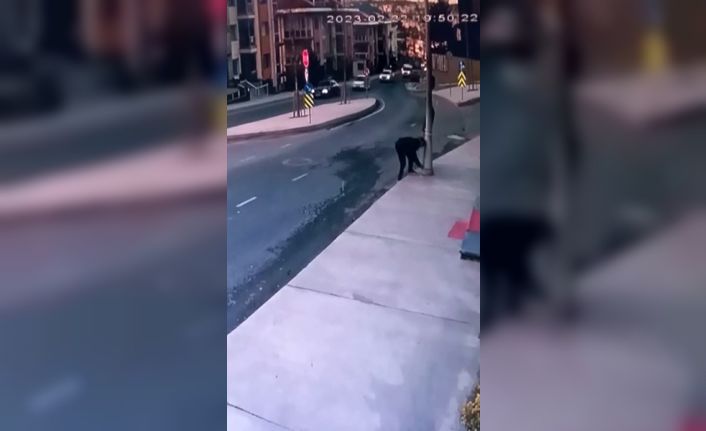 Büyükçekmece’de hırsızlar, aydınlatma direklerine dadandı: O anlar kamerada