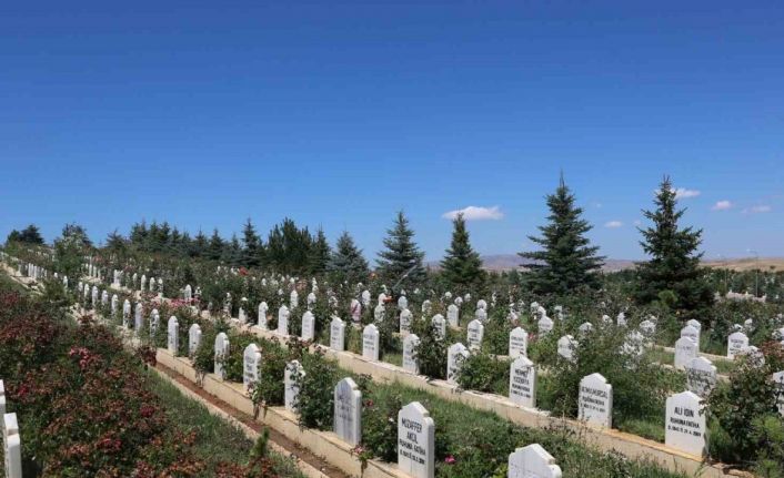 Covid-19 Sivas’ta 809 Can Aldı