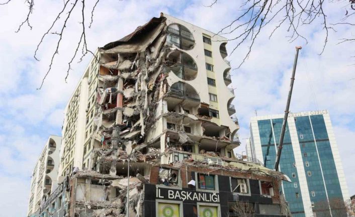 Galeria İş Merkezinden kurtarılan 7 kediden 6’sı sahibine teslim edildi