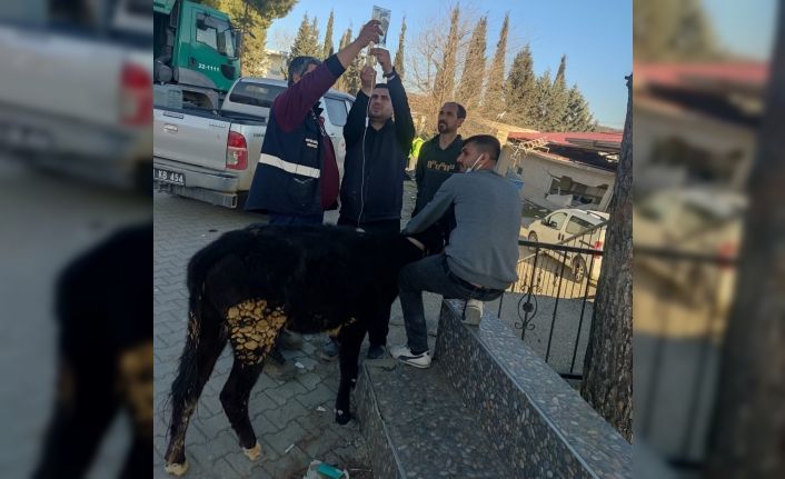 Hem sahada çalışıyor hem de yardım ulaştırıyorlar