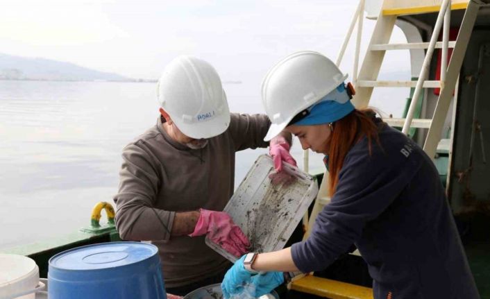 İzmit Körfezi’nde dip çamuru temizliği öncesinde biyoçeşitlilik tespiti