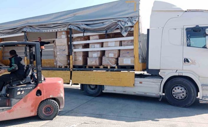 Japonya’dan gönderilen yardımlar Hatay’a ulaştı
