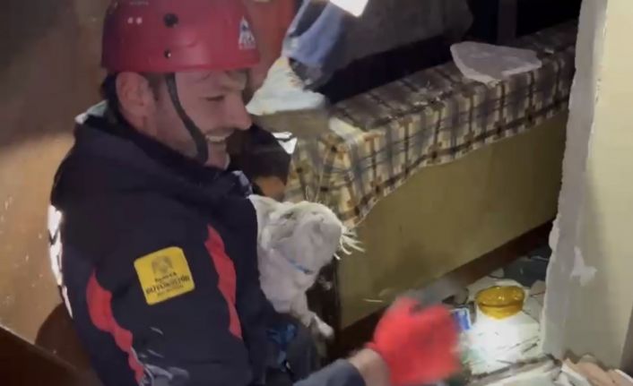 Konya itfaiyesi depremden 11 gün sonra ağır hasarlı binada kalan kediyi kurtardı
