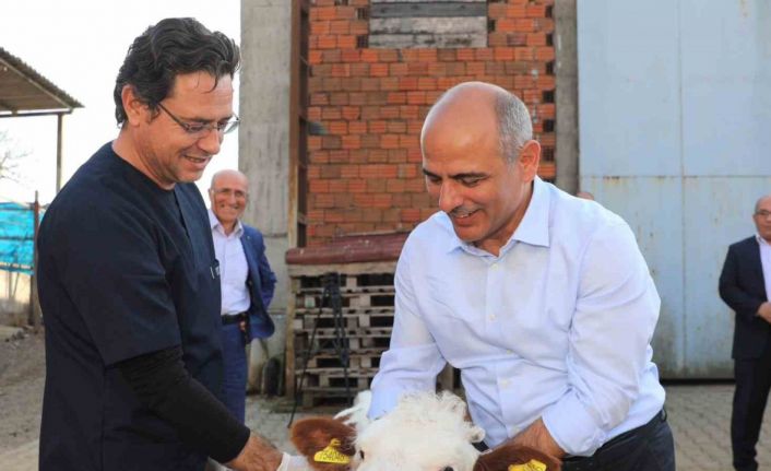 Körfez’de hayvan üreticilerine müjde: Aşı ve küpeleme 2023’te de sürecek