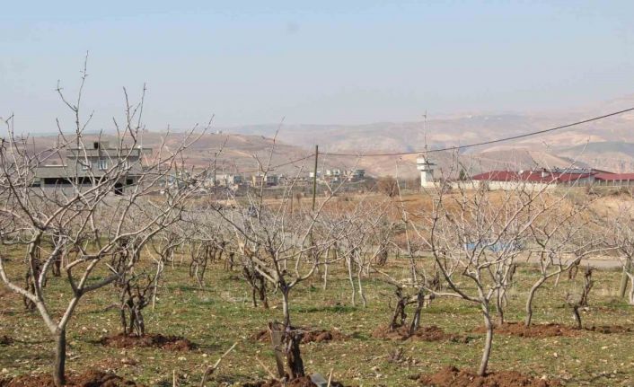 Kuraklık tedirgin ediyor: Umutlar mart ve nisan yağmurlarına kaldı