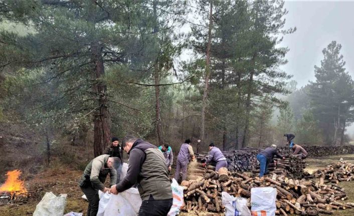 Kütahya OBM deprem bölgesine bin 625 ton yakacak odun gönderdi