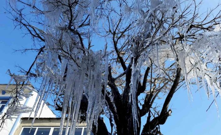 Özalp ilçesinde ağaçlar buz tuttu