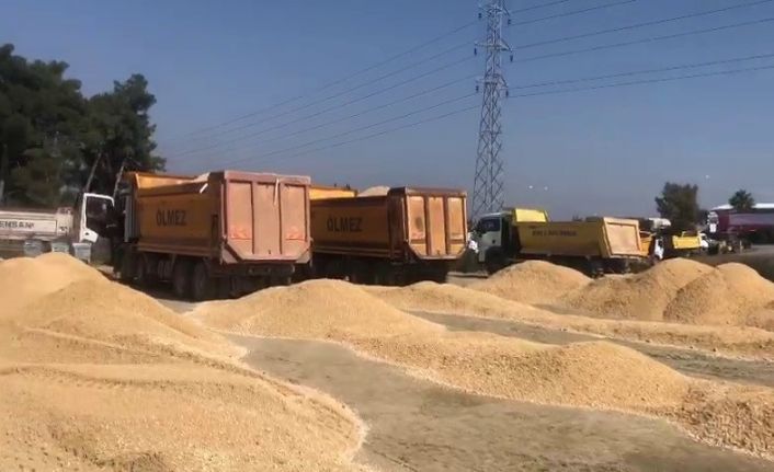 Siirt’ten giden ekip Hatay’da şantiye kurdu
