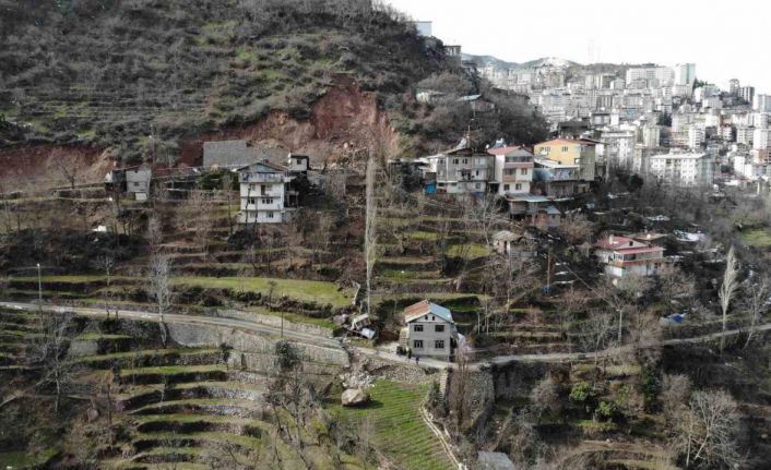 Yamaçtan kopan dev kaya iki evin arasından geçerek tarım arazilerine düştü