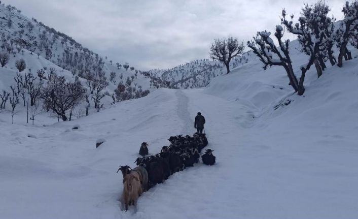 Yüksek kesimlerde kar kalınlığı 1 metreye yaklaştı: 95 yerleşim yerine ulaşım sağlanamıyor