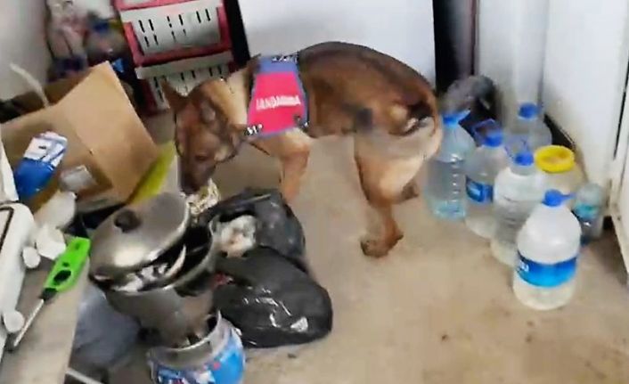 11 kilo esrarı arı kovanı ve sazlıklara gizleyen oğul tutuklandı, baba serbest kaldı