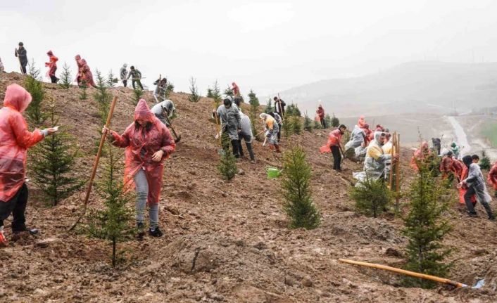 6 Şubat 2023 Deprem Şehitleri Hatıra Ormanı’nda 435 fidan toprakla buluştu