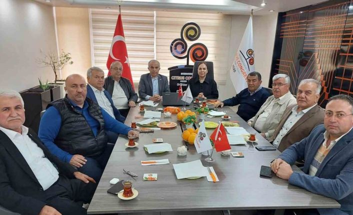 AK Parti’li Yılmaz, limon üreticileri ve sektör temsilcileri ile bir araya geldi