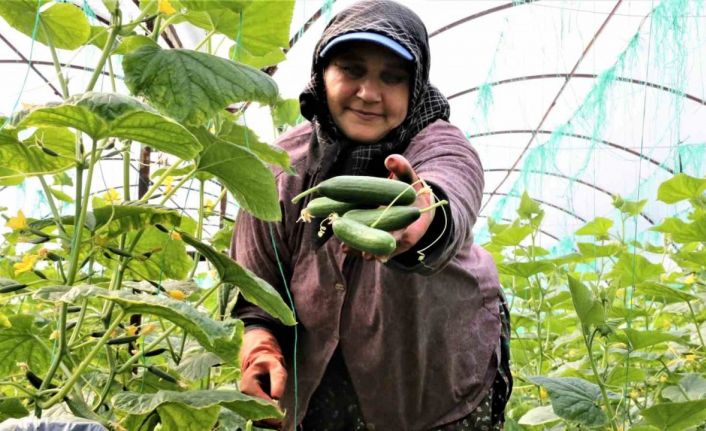 Antalya Hali’nde bahar hareketliliği: Ürün fiyatları yüzde 50 düştü