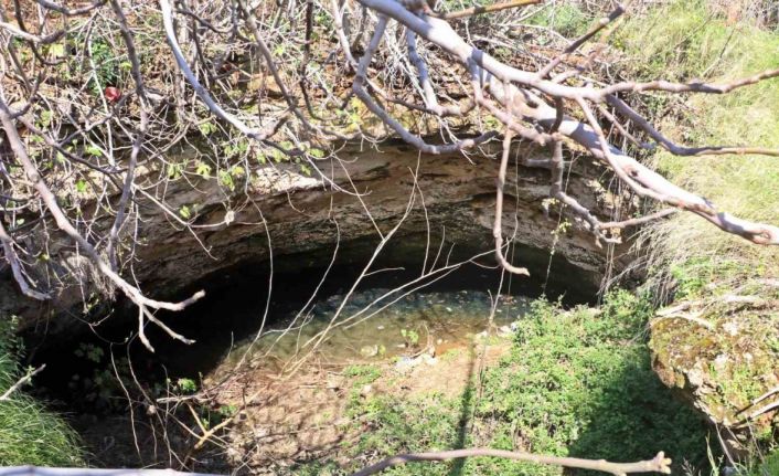 Antalya’nın göbeğinde 35 metre derinlikteki obrukta çok sayıda tatlı su canlısı tespit edildi