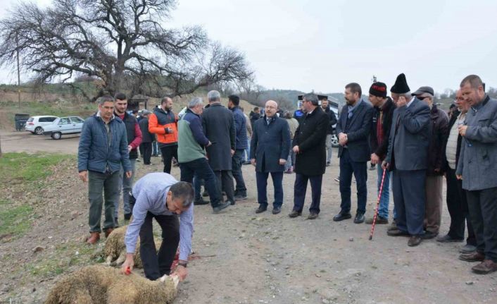 Balıkesir’de barajlar dolsun diye adak kesildi