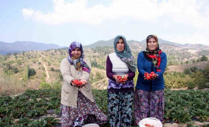 Başkan Aykurt: “Kırsalda üretim yapan vatandaşlarımızın sigorta primleri devletimiz tarafından karşılanmalıdır”